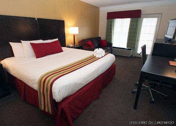 Hotel Black Bear & 3*