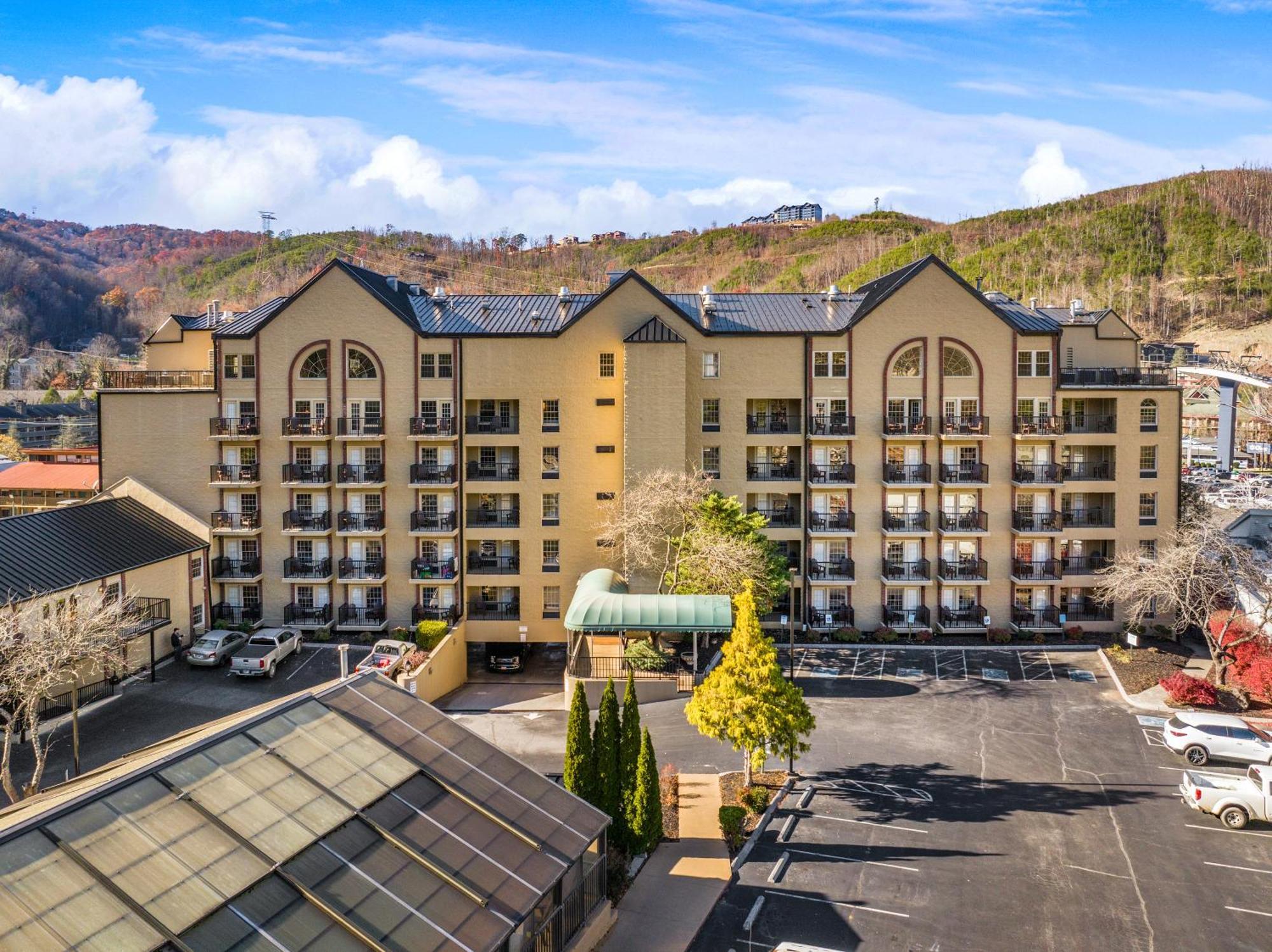 Black Bear & 3* Gatlinburg