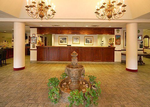 Hotel Black Bear &