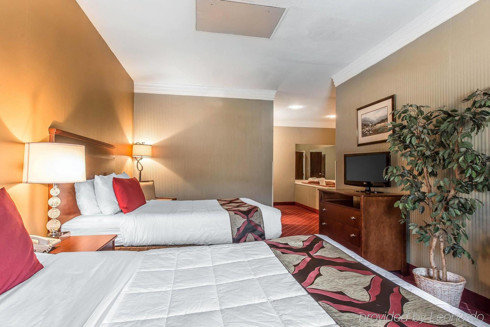 Black Bear & Hotel 3*