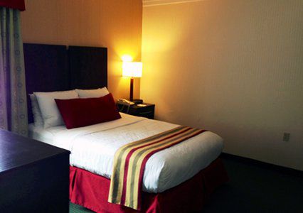 Black Bear & Hotel Gatlinburg