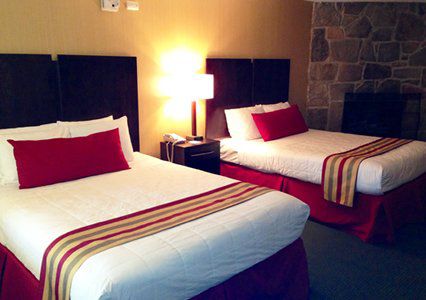 Hotel Black Bear & 3*