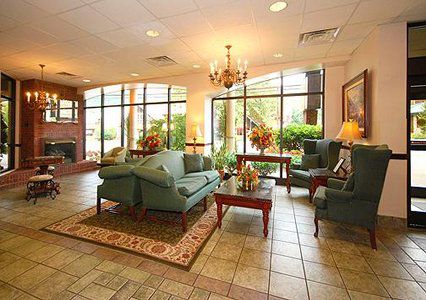 Hotel Black Bear &